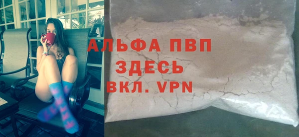 индика Краснослободск