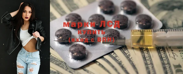 индика Краснослободск