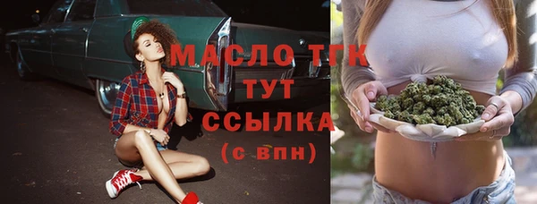 индика Краснослободск