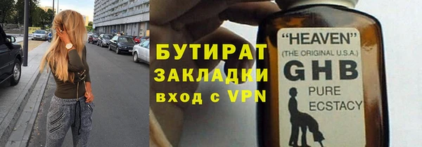 индика Краснослободск