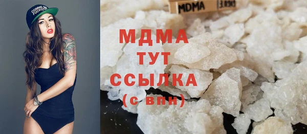 индика Краснослободск