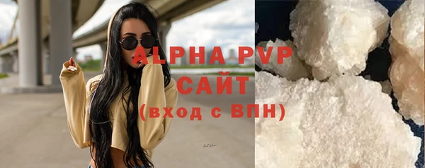 индика Краснослободск