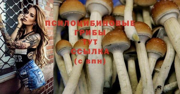 индика Краснослободск