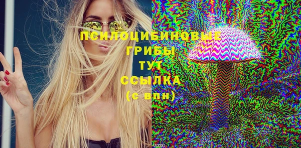 стафф Корсаков