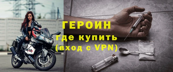 индика Краснослободск