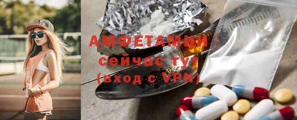 индика Краснослободск