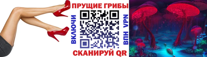 Галлюциногенные грибы Cubensis  Тихорецк 