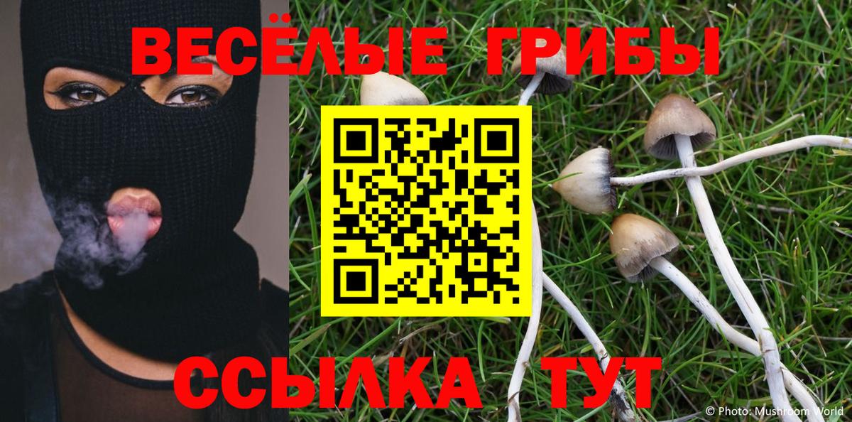 Псилоцибиновые грибы мицелий  Псилоцибиновые грибы Cubensis  Вход с VPN  закладки  Тихорецк 