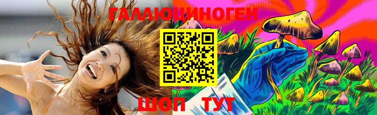 Псилоцибиновые грибы Psilocybe Тихорецк